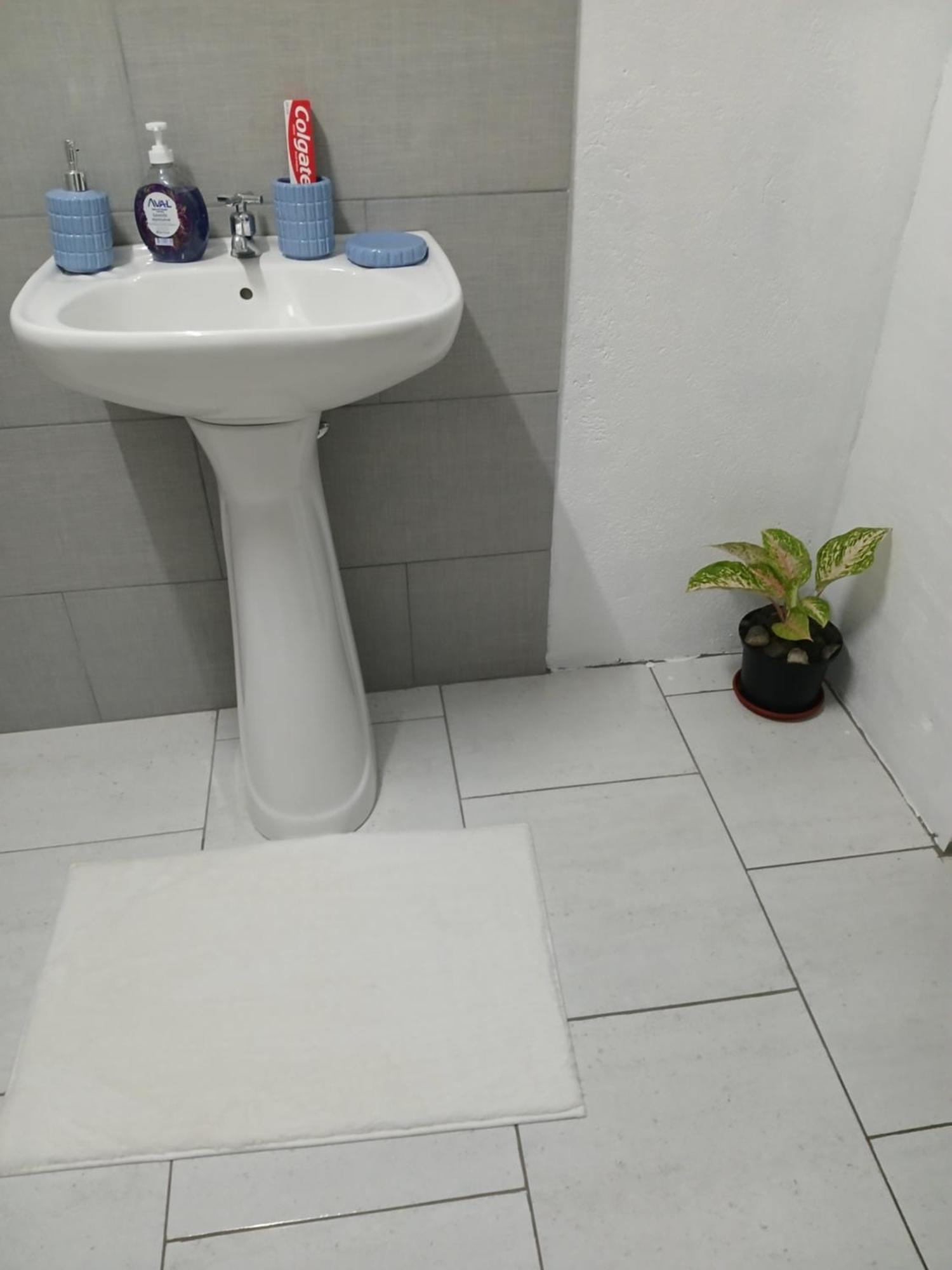 Natrue'S Haven Bed & Breakfast Marigot Ngoại thất bức ảnh